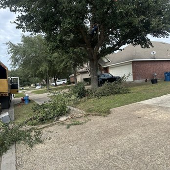 On Point Tree Service - Trimming live oak tree - Tree Services Near Me - Katy, Texas On Point Tree Service - Trimming live oak tree - Tree Services Near Me - Katy, Texas