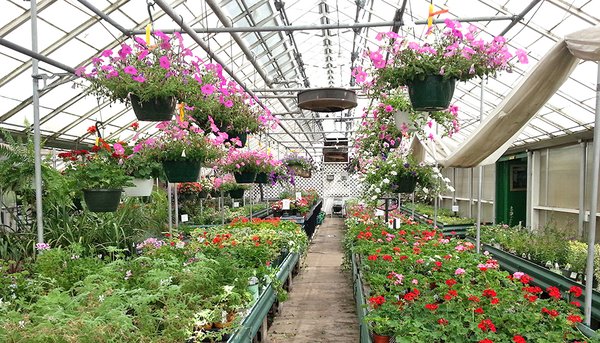 Gali S Flower Garden Center 21301 Chagrin Blvd Beachwood Oh Florists Mapquest