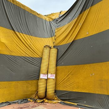 The Termite Guy - Pest Control Near Me - Santa Ana, California