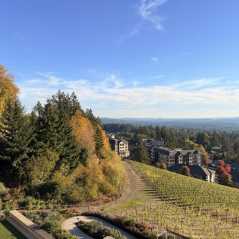 Amaterra Winery - Wine Tasting Room Near Me - Portland, Oregon