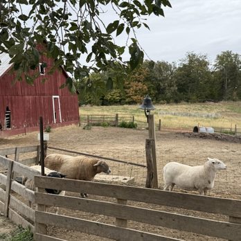 Market Six - Farms Near Me - Chapin, Illinois Market Six - Farms Near Me - Chapin, Illinois