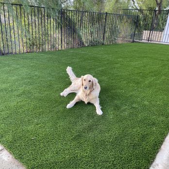 Greenview Turf - Final product. - Artificial Turf Near Me - Northridge, California