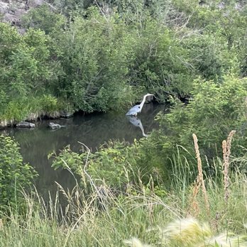 White Mountains Trail System - Hiking Near Me - Lakeside, Arizona White Mountains Trail System - Hiking Near Me - Lakeside, Arizona