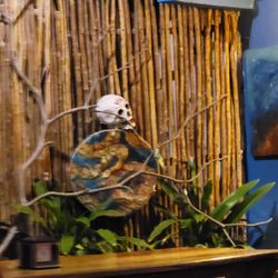 Pizza Casa Jaguar - Jungle themselves  restaurant... after three days of trying, we are finally here... I will be back with some Info