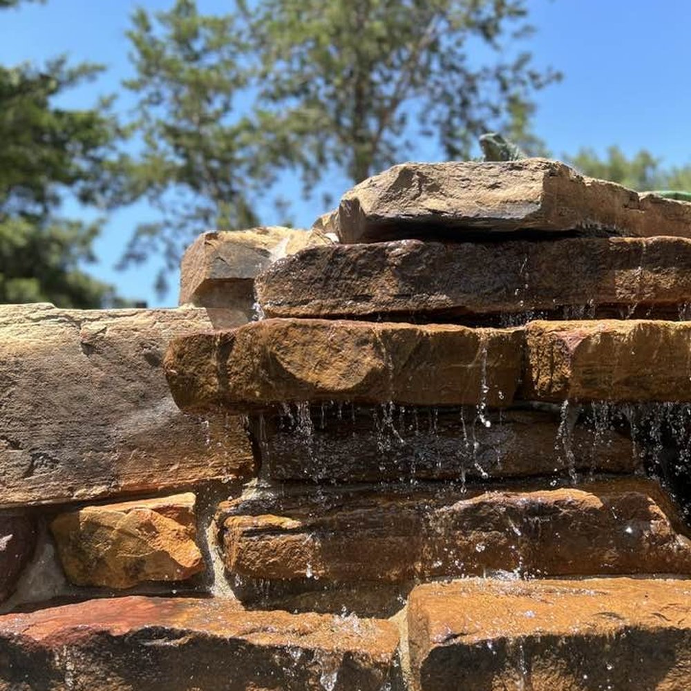 TexSun PoolScapes - say allo to ma lil fren - Pool & Hot Tub Service Near Me - Cleburne, Texas