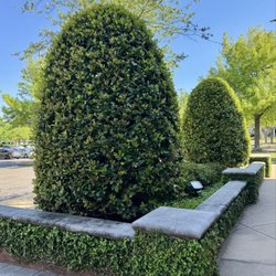 The Shoppes At East Chase