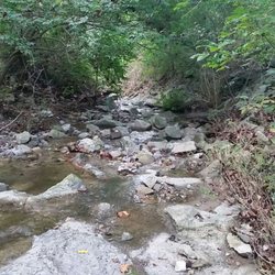 Robb Hollow Park