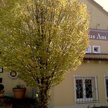 Speisegaststätte Am Aicha - Restaurants Near Me - Postbauer-Heng, BY Speisegaststätte Am Aicha - Restaurants Near Me - Postbauer-Heng, BY