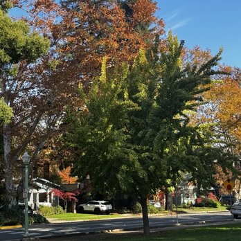 McKinley Park - Parks Near Me - Sacramento, California McKinley Park - Parks Near Me - Sacramento, California