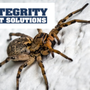 Photo of Integrity Pest Solutions