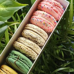 [left to right] salted caramel, chocolate mint, cookies n creme, birthday cake