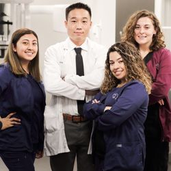 Zephyr Dental