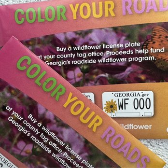 Georgia Visitor's Center - Wildflower seed packets - Travel Services Near Me - Lake Park, Georgia Georgia Visitor's Center - Wildflower seed packets - Travel Services Near Me - Lake Park, Georgia
