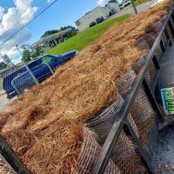 Ingrams Farmers Market - Long Leaf Pine Straw