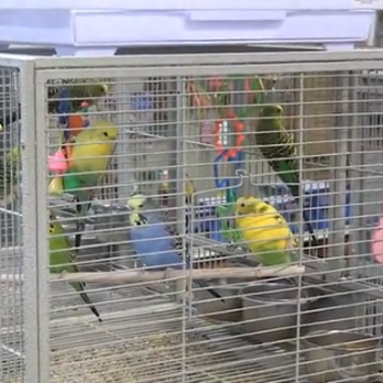 Pets Plus - Pet Stores Near Me - Londonderry, New Hampshire