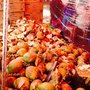 Photo of Tianguis de la San Felipe