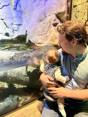 SEA LIFE at Mall of America by null