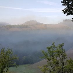 Bernhard Huber - Morgenstimmung in herlicher Ruhe