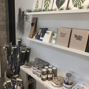 LV Plant Collective - Nurseries & Gardening Near Me - Las Vegas, Nevada LV Plant Collective - Nurseries & Gardening Near Me - Las Vegas, Nevada