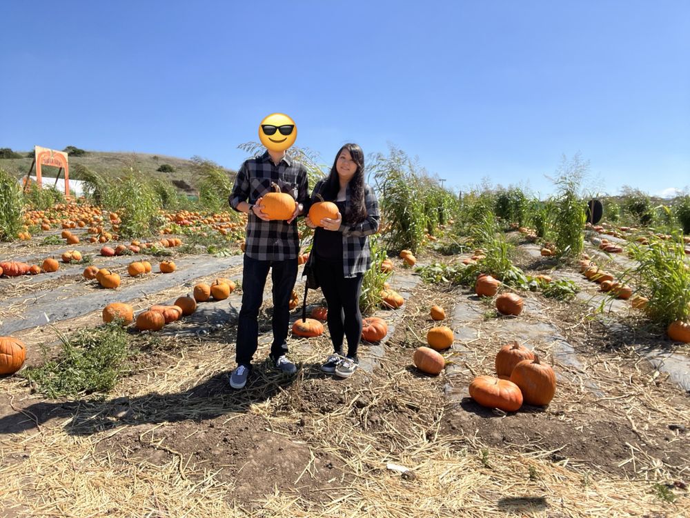 Tanaka Farms