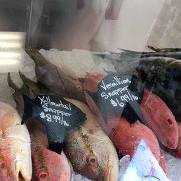 Fresh Fish