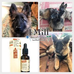 1 Mill - Quality CBD products in Maine
