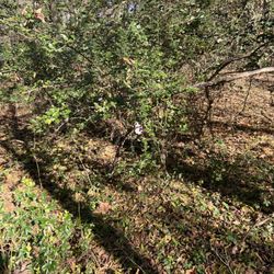 Spadra Creek Nature Trail