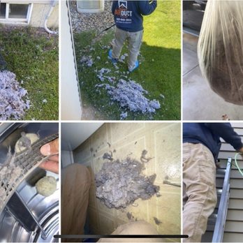 Airduct Clean - After Dryer Line Cleanimg ( Dryer Lint) - Air Duct Cleaning Near Me - Ann Arbor, Michigan Airduct Clean - After Dryer Line Cleanimg ( Dryer Lint) - Air Duct Cleaning Near Me - Ann Arbor, Michigan