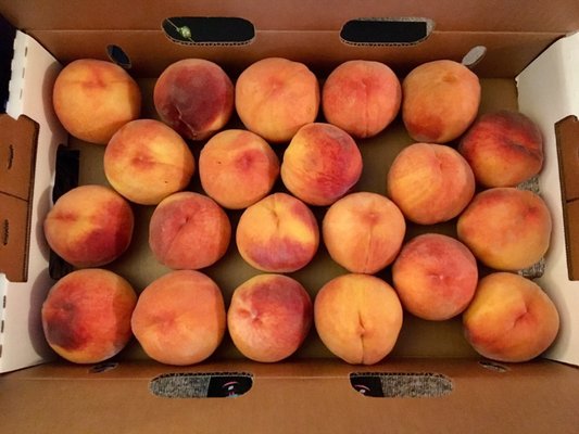 Clark Family Orchards by null