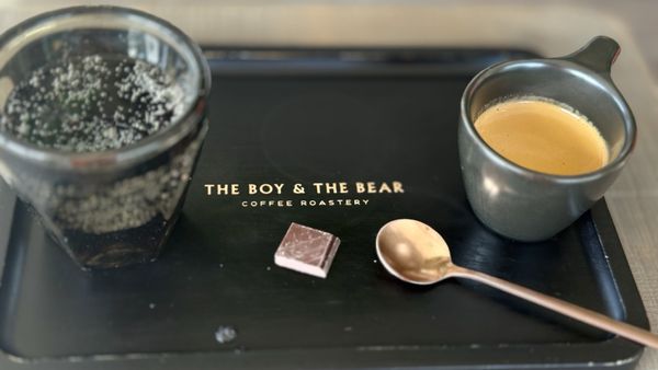 The Boy & The Bear - Gardena by null