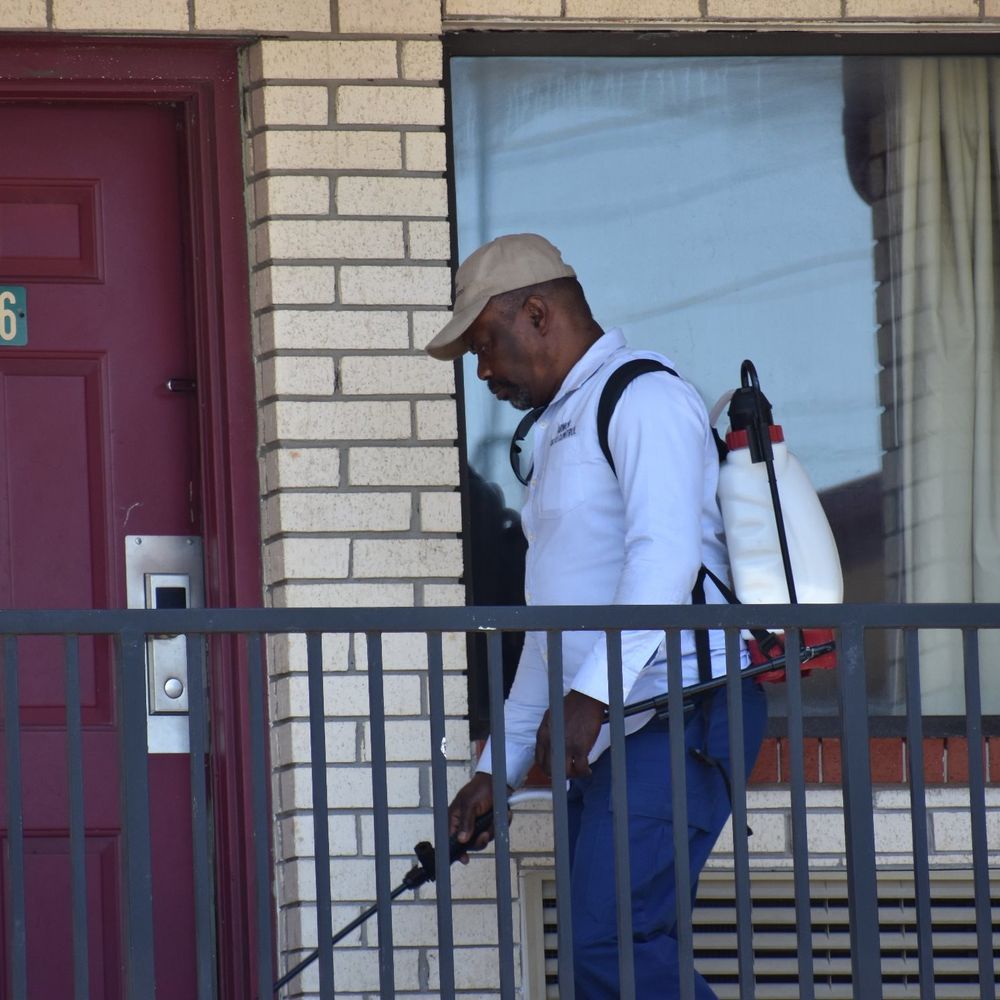 ARMOR PEST CONTROL Updated May 2024 Yelp