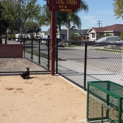 Jackson Dog Park - Doing some exploring