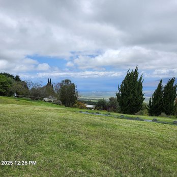 Ali'i Kula Lavender - Tours Near Me - Kula, Hawaii