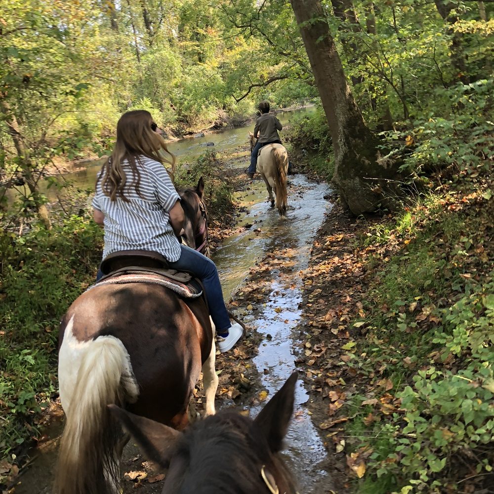 Sheeder Mill Farm - Horseback Riding Near Me - Spring City, Pennsylvania Sheeder Mill Farm - Horseback Riding Near Me - Spring City, Pennsylvania