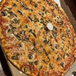 Mushroom pie primo Huge Mushroom pie primo Huge