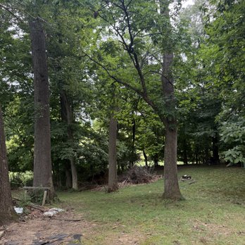 Simpson Property Maintenance - Small dead tree removed in Hillsboro, Ohio - Tree Services Near Me - Russellville, Ohio Simpson Property Maintenance - Small dead tree removed in Hillsboro, Ohio - Tree Services Near Me - Russellville, Ohio