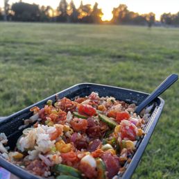 Large Poke Bowl