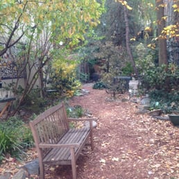 The garden