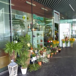 Blumen Haab