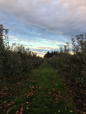 Beilke Family Farm by null