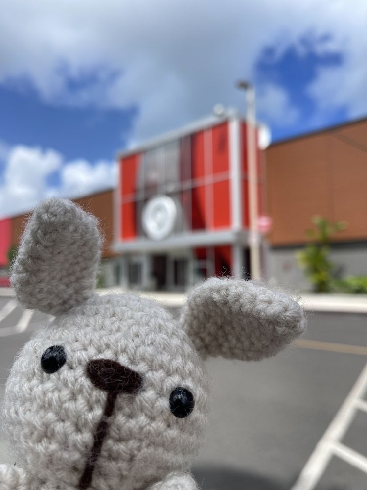 TARGET 67 Photos & 18 Reviews 46056 Kamehameha Hwy, Kaneohe