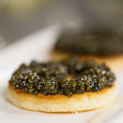 N1 Caviar