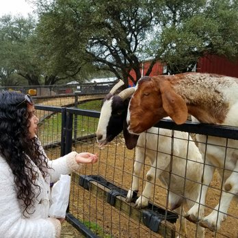 Austin Zoo - Zoos Near Me - Austin, Texas