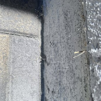 Smart Pest Control - Webs - Pest Control Near Me - Irvine, California