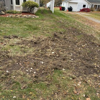 Mullins Tree Service - Tree Services Near Me - Wayne, Michigan