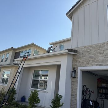 Brilliant Pest Solutions - Dustin courageously approaching the wasp nest on the 2nd floor - Pest Control Near Me