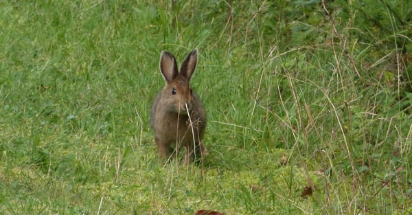 Fundy National Park Of Canada by null