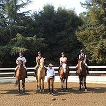 Spring Down Equestrian Center - untitled - Horseback Riding Near Me - Portola Valley, California Spring Down Equestrian Center - untitled - Horseback Riding Near Me - Portola Valley, California