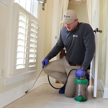 ClearDefense Pest Control - Pest Control Near Me - Nashville, Tennessee ClearDefense Pest Control - Pest Control Near Me - Nashville, Tennessee