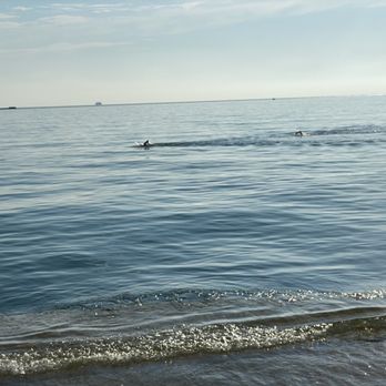 Fullerton Beach - 2 brave souls swimming in the lake (brrrr it's chilly) - Beaches Near Me - Chicago, Illinois Fullerton Beach - 2 brave souls swimming in the lake (brrrr it's chilly) - Beaches Near Me - Chicago, Illinois